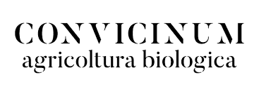 Convincinum